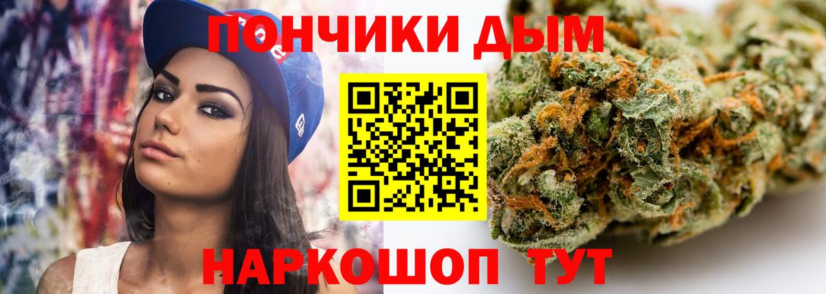 Каннабис индика Баксан